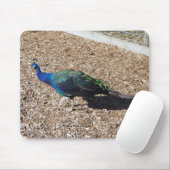 Indischer Blau-Pfau-Mauspad Mousepad (Mit Mouse)