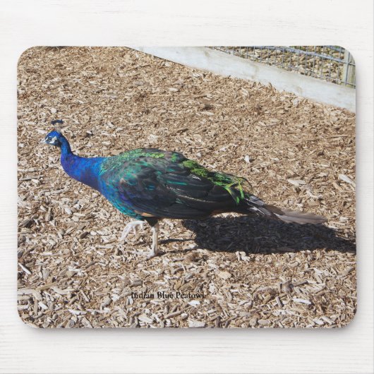 Indischer Blau-Pfau-Mauspad Mousepad (Vorne)