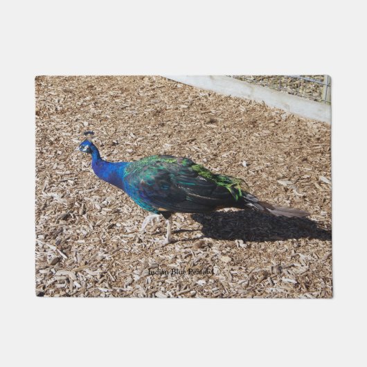 Indischer Blau-Pfau Türmatte (Vorderseite)