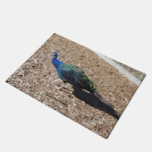 Indischer Blau-Pfau Türmatte (Schrägansicht)