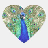 Indischer Blauer Pfau Herz-Aufkleber (Vorderseite)