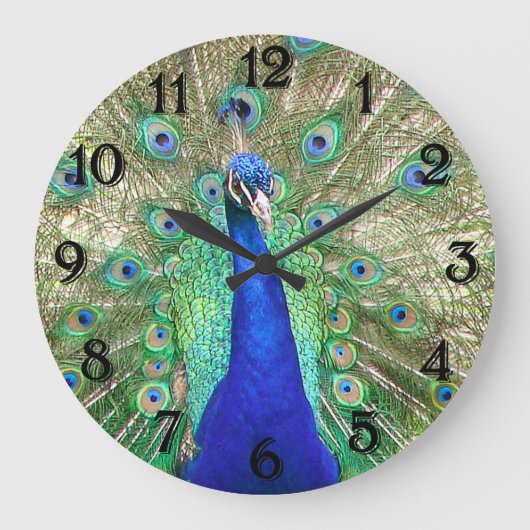 Indischer Blaupfau Große Wanduhr (Vorderseite)
