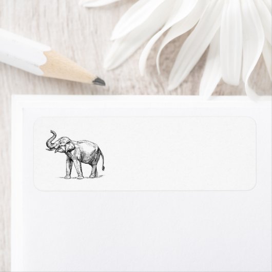 Indischer Elefant (Insitu)