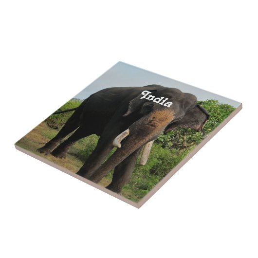Indischer Elefant Fliese (Seite)