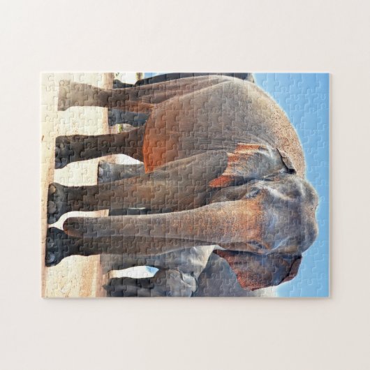 Indischer Elefant Sri Lanka. Puzzle (Horizontal)