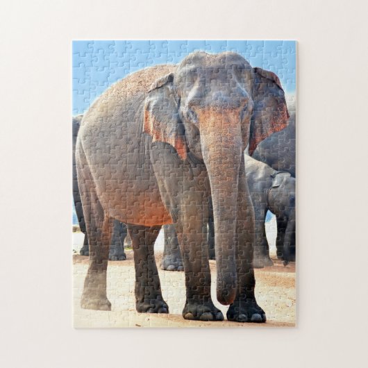 Indischer Elefant Sri Lanka. Puzzle (Vertikal)