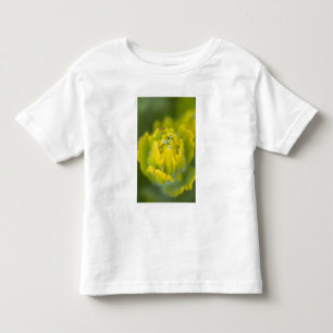 Indischer Goldener Pinsel Castilleja 2 Kleinkind T-shirt