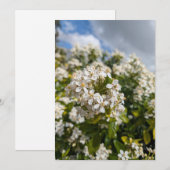 Indischer Hagedorn Blüten Einladung (Vorne/Hinten)
