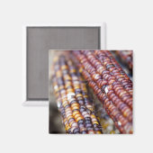 Indischer Mais am Gewerkschaft Square Greenmarket, Magnet (Vorderseite/Rückseite)