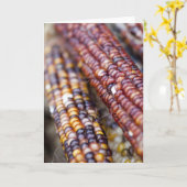 Indischer Mais am Gewerkschafts-Quadrat Karte (Gelbe Blume)