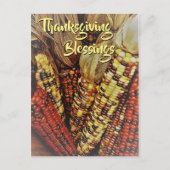 Indischer Mais Kernels Foto 2 Erntedank Postkarte (Vorderseite)