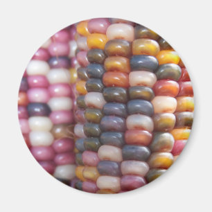 Indischer Mais Magnet