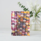 Indischer Mais Postkarte (Stehend Vorderseite)