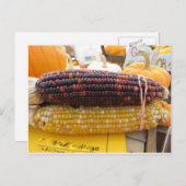 Indischer Mais Postkarte (Vorne/Hinten)