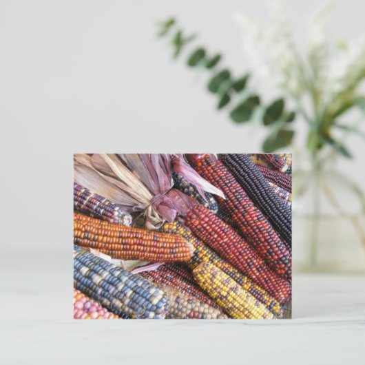 Indischer Mais Postkarte (Stehend Vorderseite)