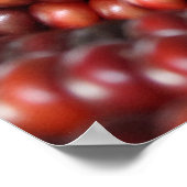 Indischer Mais rustikales Foto Poster (Ecke)