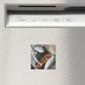 Indischer Maismagnet Magnet (In Situ (Geschirrspüler))