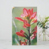 Indischer Malerpinsel Briefpapier (Stehend Vorderseite)