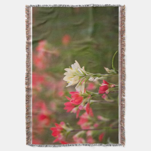 Indischer Malerpinsel Decke (Vorderseite Vertikal)