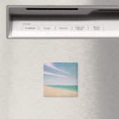 Indischer Ozean 1996 Magnet (In Situ (Geschirrspüler))