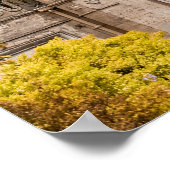 Indischer Palast Poster (Ecke)