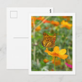 Indischer Perlmutterfalter & Cosmos-Blumen Postkarte (Vorne/Hinten)