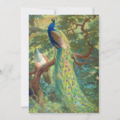 Indischer Pfau | Charles Robert Knight (Vorderseite)