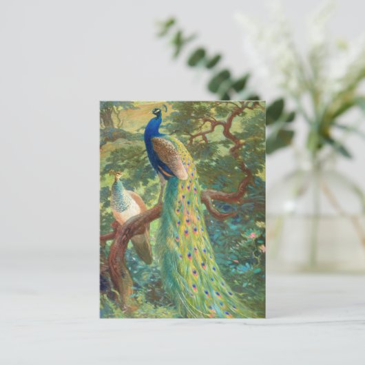 Indischer Pfau | Charles Robert Knight Postkarte (Stehend Vorderseite)