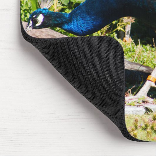 Indischer Pfau Mousepad (Ecke)
