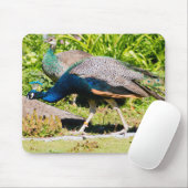 Indischer Pfau Mousepad (Mit Mouse)