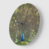 Indischer Pfau-Pfau mit einem Absturz Große Wanduhr (Winkel)