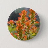 Indischer Pinsel Button (Vorderseite)