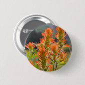 Indischer Pinsel Button (Vorne & Hinten)