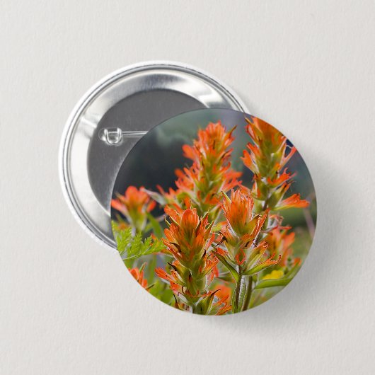 Indischer Pinsel Button (Vorne & Hinten)