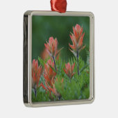 Indischer Pinsel, Castilleja miniata, Ouray, Ornament Aus Metall (Rechts)