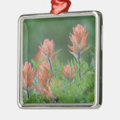 Indischer Pinsel, Castilleja miniata, Ouray, Ornament Aus Metall (Links)