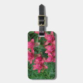 Indischer Pinsel Gepäckanhänger (Vorderseite vertikal)