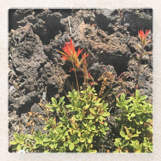 Indischer Pinsel Glasuntersetzer (Vorderseite)