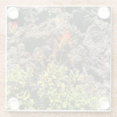 Indischer Pinsel Glasuntersetzer (Rückseite)