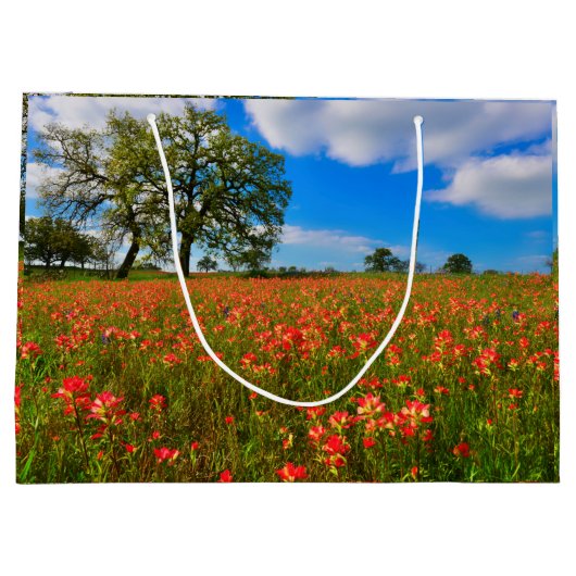 Indischer Pinsel Große Geschenktüte (Rückseite)