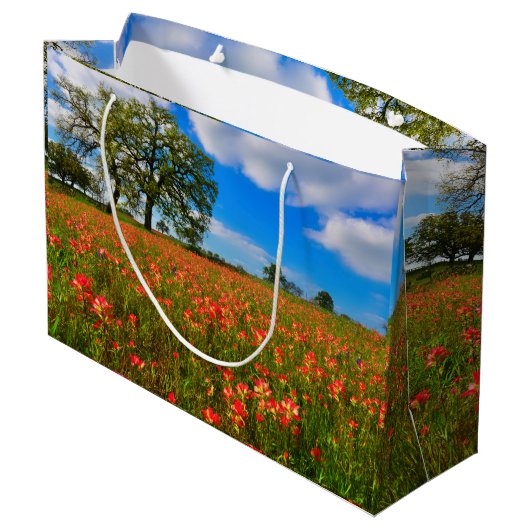 Indischer Pinsel Große Geschenktüte (Rückseite Schrägansicht)