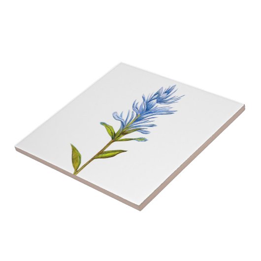 Indischer Pinsel in Blau Fliese (Seite)