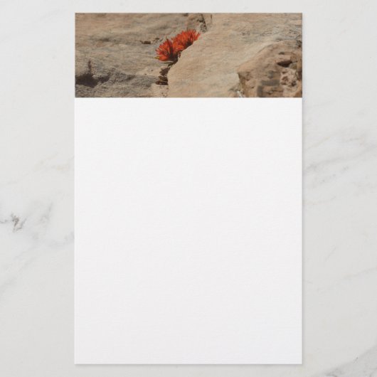 Indischer Pinsel in Rocks bei Zion Briefpapier (Vorderseite)