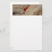 Indischer Pinsel in Rocks bei Zion Briefpapier (Vorne/Hinten)