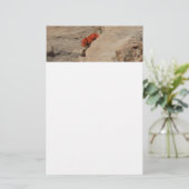Indischer Pinsel in Rocks bei Zion Briefpapier (Stehend Vorderseite)