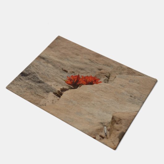 Indischer Pinsel in Rocks bei Zion Fußmatte (Schrägansicht)