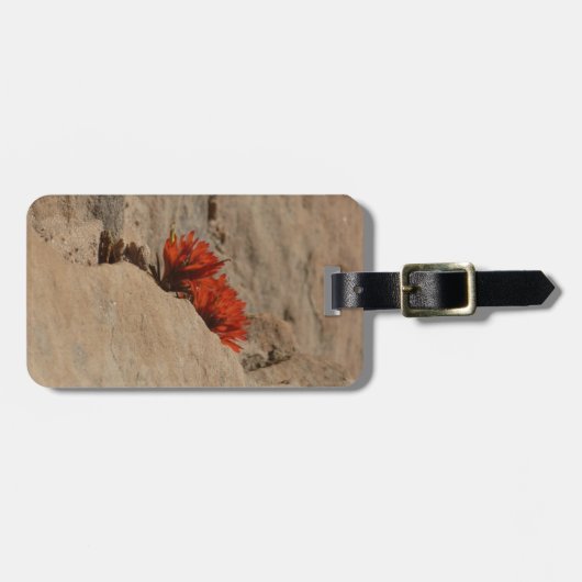 Indischer Pinsel in Rocks bei Zion Gepäckanhänger (Vorderseite horizontal)