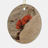 Indischer Pinsel in Rocks bei Zion Keramik Ornament (Links)