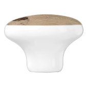 Indischer Pinsel in Rocks bei Zion Keramikknauf (Seitenansicht)