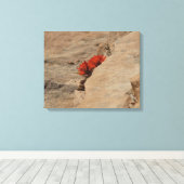 Indischer Pinsel in Rocks bei Zion Leinwanddruck (Insitu (Holzboden))